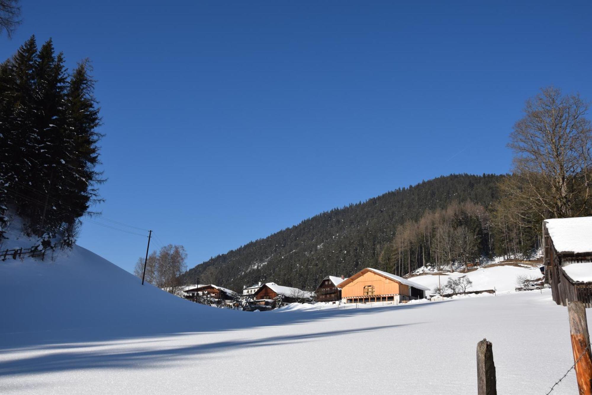 Apartment Obergruberhof Schladming Eksteriør bilde